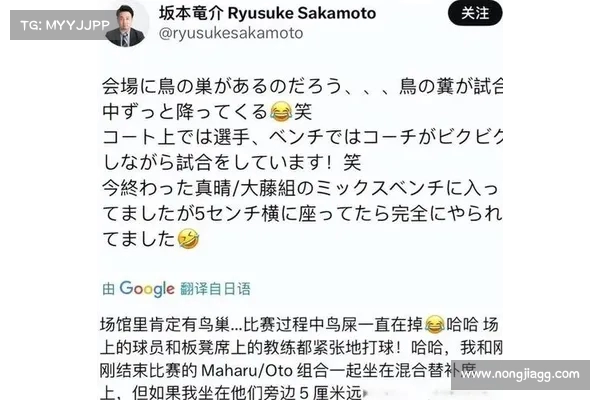 国乒退赛显智慧 日本队遭鸟屎困扰 港队名将呼吁选手远离印度中心 国乒退赛显智慧 日本队遭鸟屎困扰 港队名将呼吁选手远离印度中心