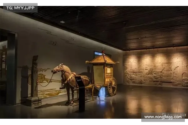奥运会后遗症引发深思 看看废弃场馆与中国含金量的日益提升 奥运会后遗症引发深思 看看废弃场馆与中国含金量的日益提升