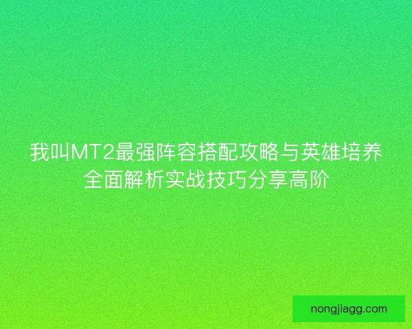 我叫MT2最强阵容搭配攻略与英雄培养全面解析实战技巧分享高阶
