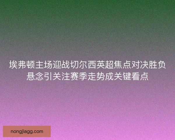 埃弗顿主场迎战切尔西英超焦点对决胜负悬念引关注赛季走势成关键看点