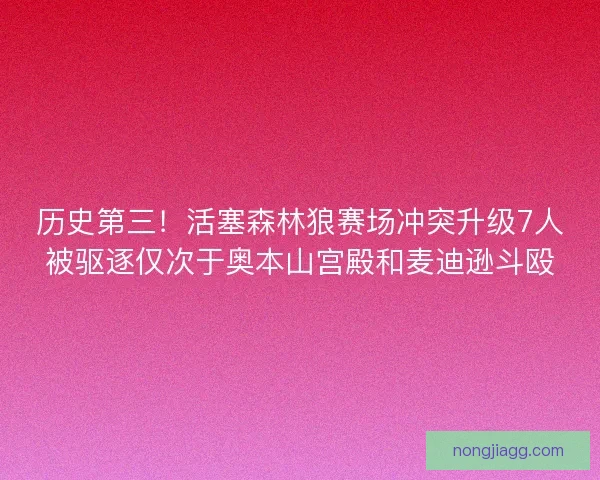 历史第三！活塞森林狼赛场冲突升级7人被驱逐仅次于奥本山宫殿和麦迪逊斗殴