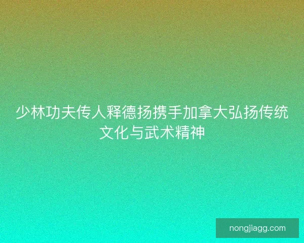 少林功夫传人释德扬携手加拿大弘扬传统文化与武术精神