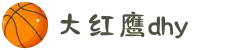 大红鹰dhy(中国)有限公司官网